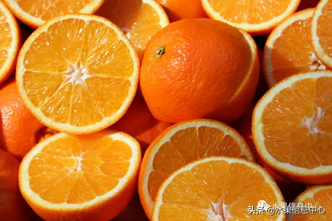最好的橙子产地在哪里,中国橙子产地排名