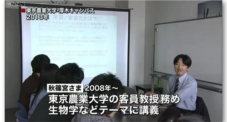 日本皇室佳子公主最新视频,日本皇室颜值担当佳子公主