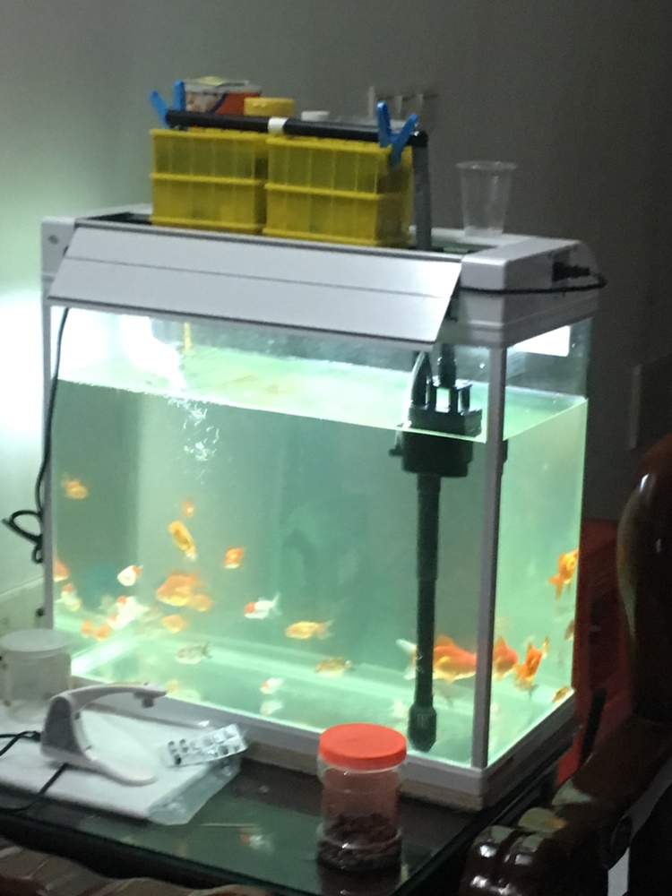 成品缸改下滤的方法,上滤成品缸如何改造