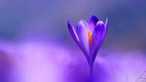 渡人渡心渡自己啥意思,渡人渡心渡自己全诗