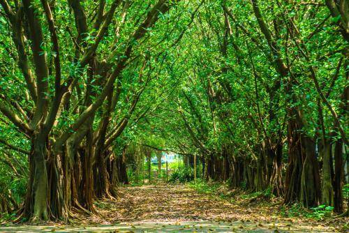 披头士主唱一首很悲伤的歌,伍佰披头士