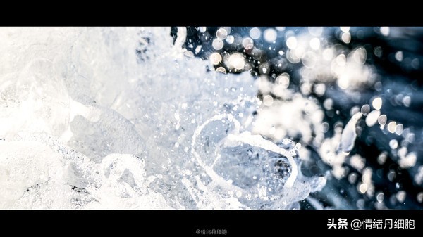 可以去玩一整天的地方,能玩一两天的地方