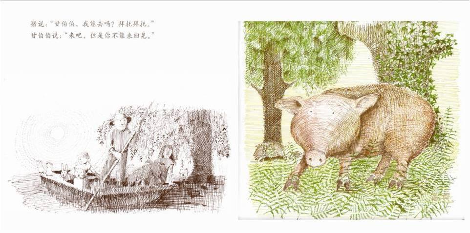 幸福的种子绘本故事3-6岁完整版,幸福的种子二十大自创绘本