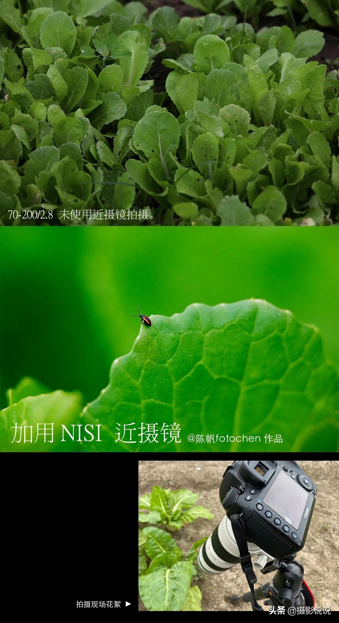 近摄镜拍微距,近摄镜测评视频