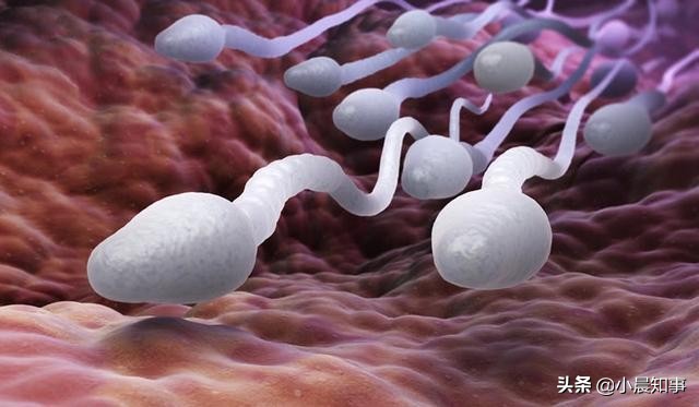 梦遗是什么情况下导致,梦遗什么情况下正常