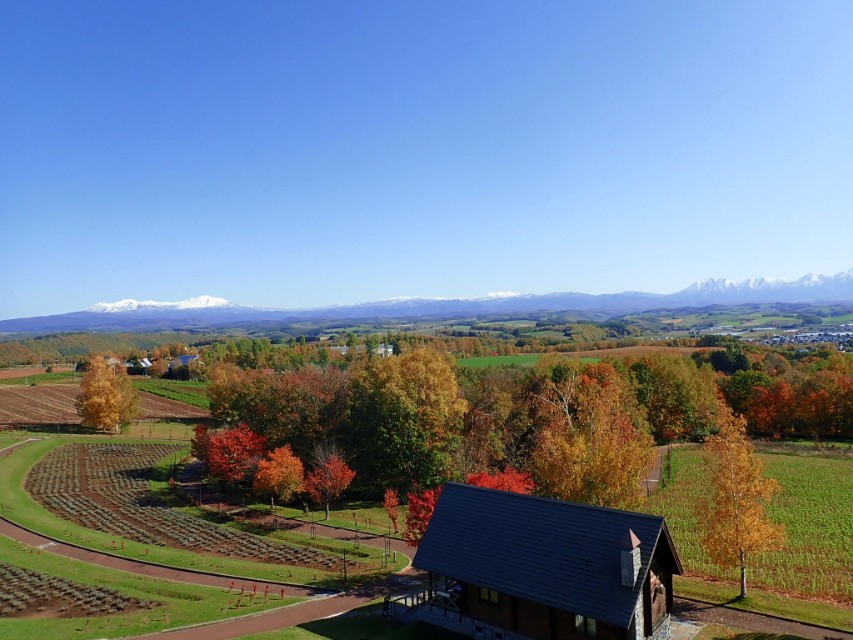 北海道登别到美瑛町需多久,日本北海道美瑛川的雪景