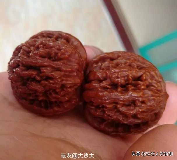 核桃树上的核桃可以盘吗,便宜的核桃能盘出效果吗