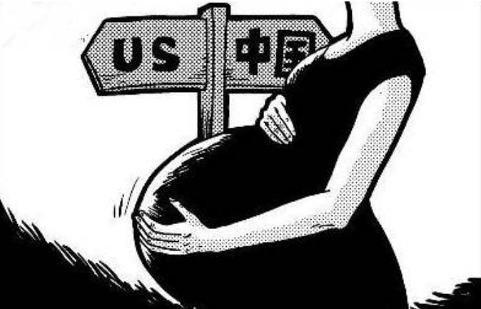 马蓉董卿赴美生子，一个为移民一个为教育，“撤侨令”下如何做？