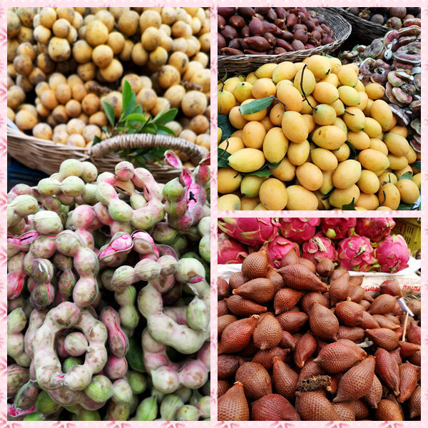 柬埔寨暹粒市旅游攻略,旅游柬埔寨必读完整攻略指南