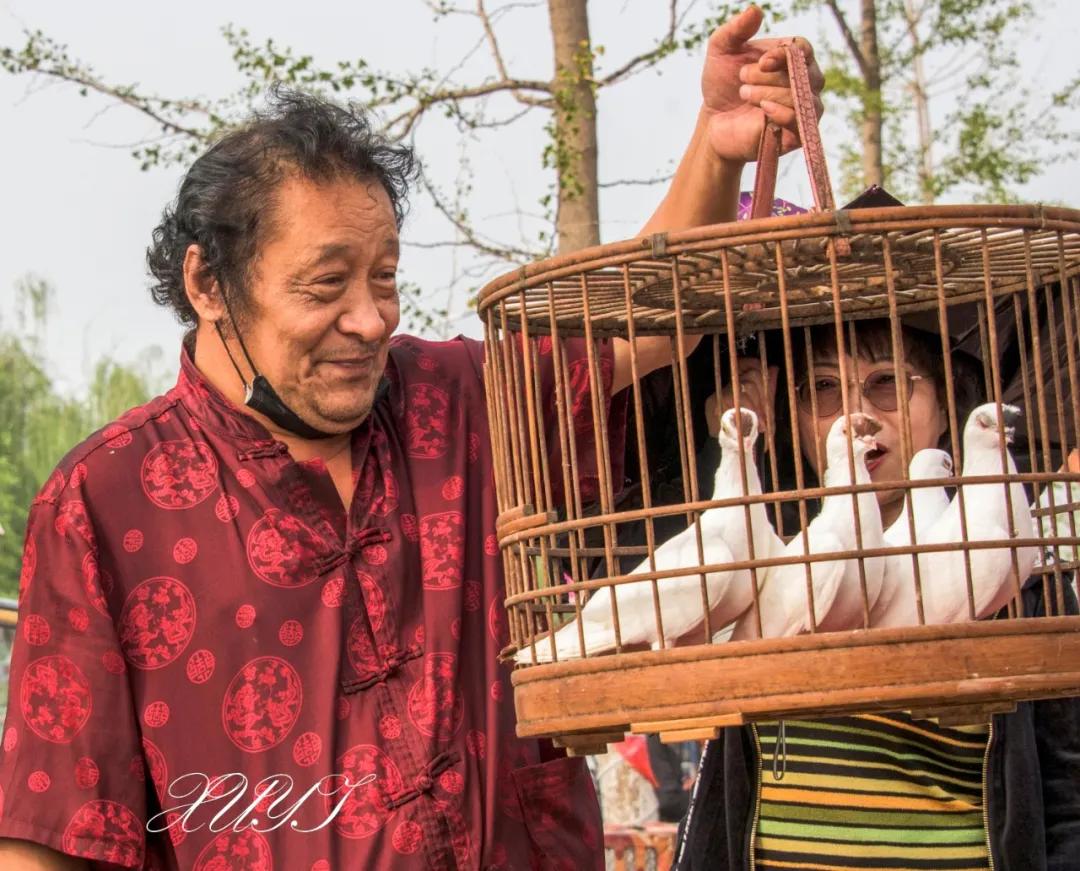天津徐庄子宠物市场,天津北辰小街桥下宠物市场