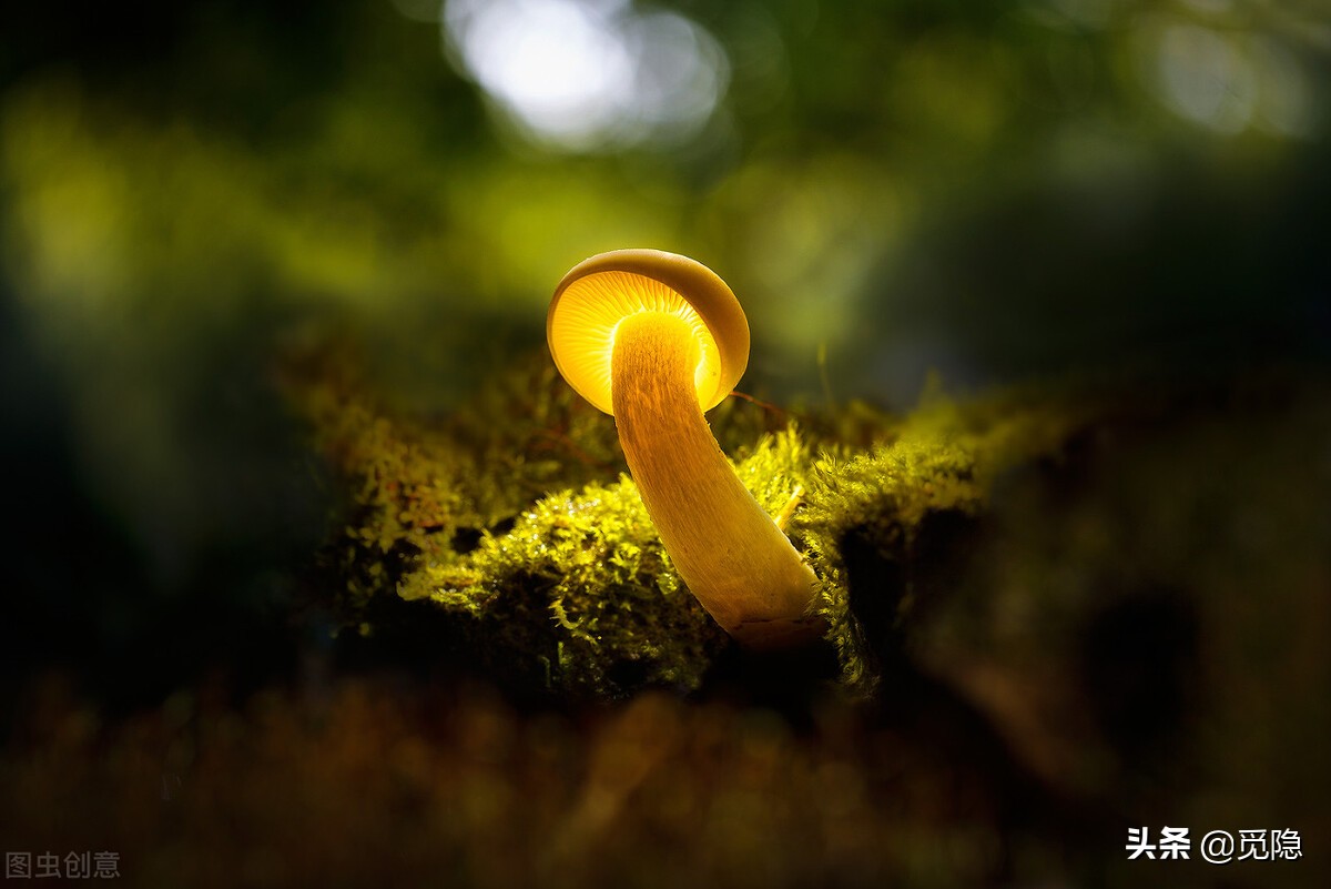 虚空济生语录,虚空济情语录