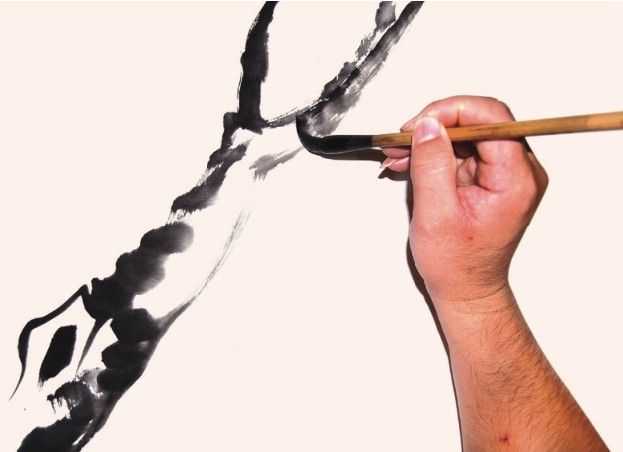 国画教程零基础入门树的画法,国画花卉线稿教程大全