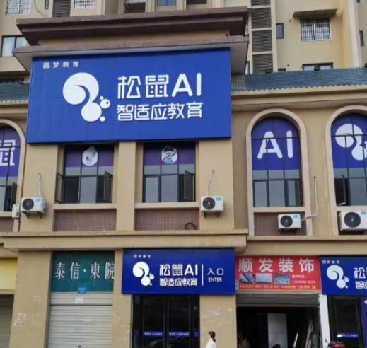 鍗楀厖鑺辫壓鍩硅鏈烘瀯,鍗楀厖缇庡彂鍖栧鍩硅瀛︽牎