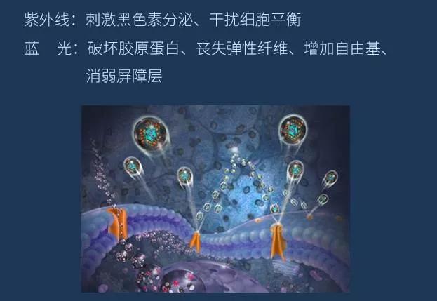 去眼纹去黑眼圈用什么方法,去眼袋眼纹公认最好用的土方法