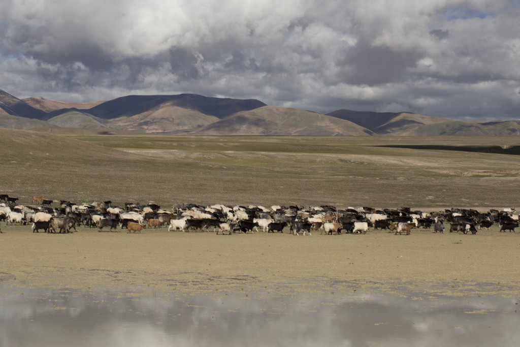 青海藏西旅游景点,西藏最好的地方