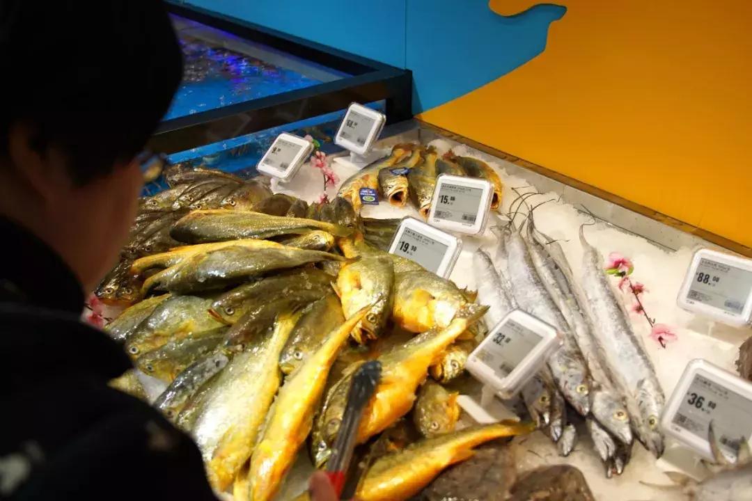 盒马鲜生会来宝业东城广场吗,盒马鲜生之旅