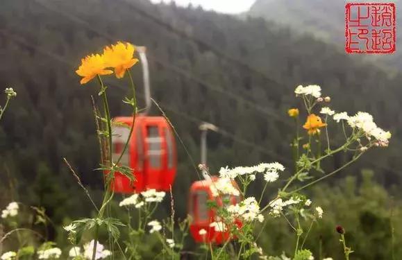 石家庄草莓采摘基地推荐,石家庄周边采摘园摘草莓