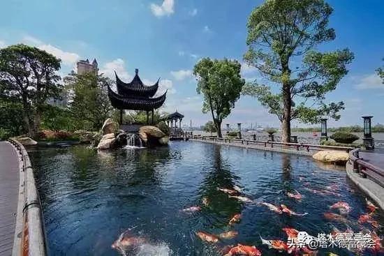 一堆富豪的买房心得：粤港澳大湾区的十大富人区（塔木德财智榜）