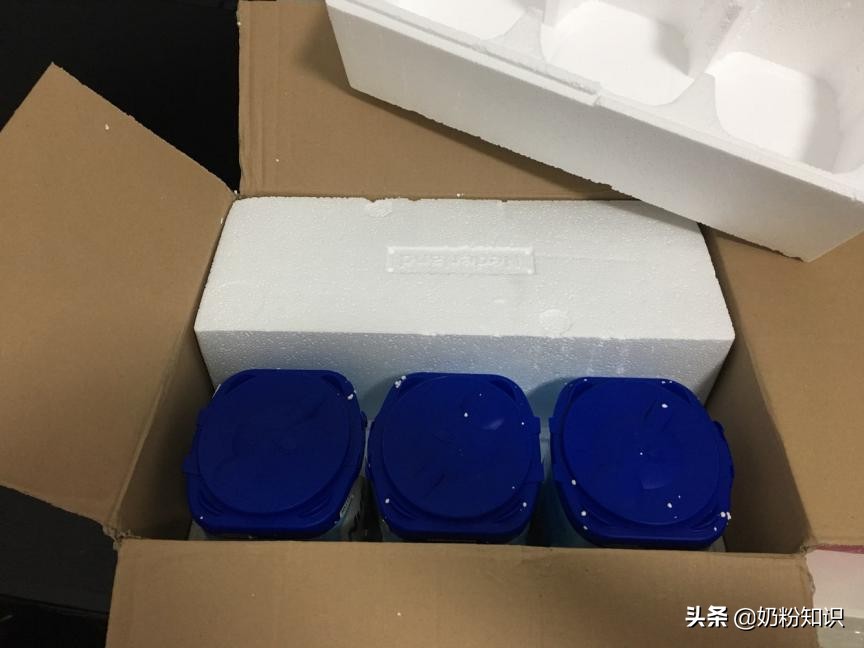 安琪乳铁蛋白真的能提高免疫力吗,猫咪乳铁蛋白真的能提高免疫力吗