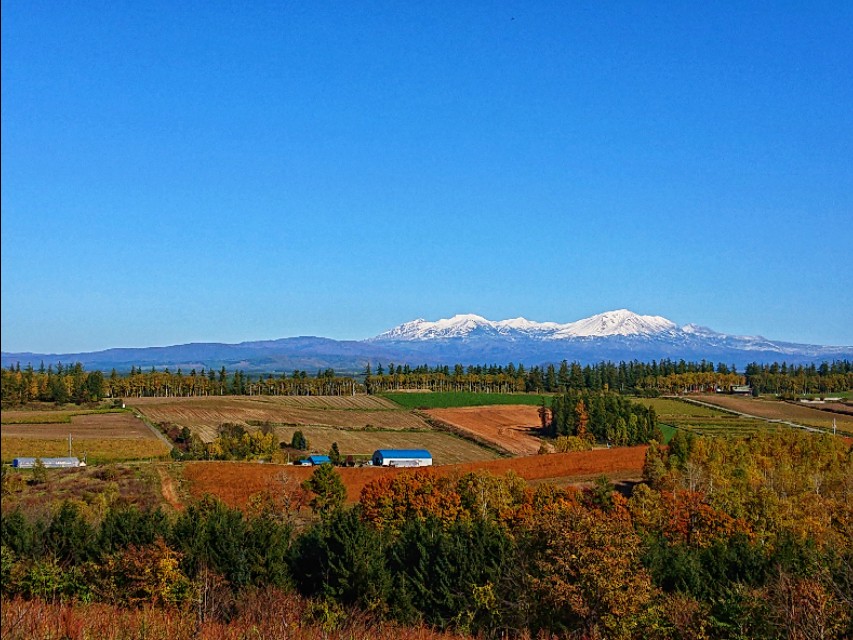 北海道登别到美瑛町需多久,日本北海道美瑛川的雪景