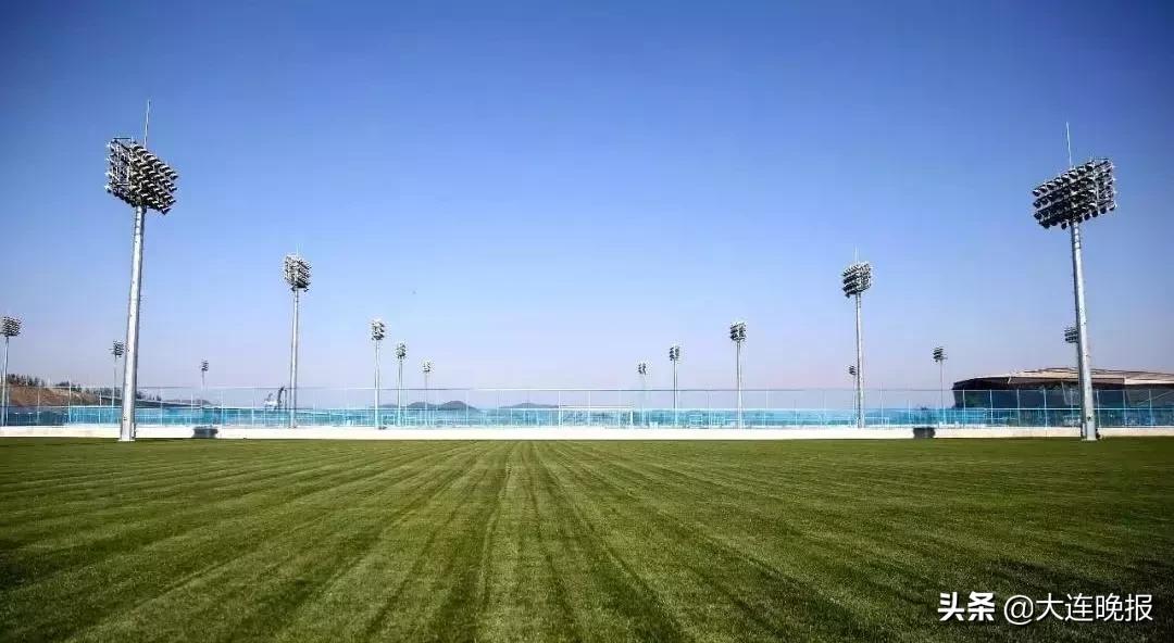 3万人足球场,大连人工草坪足球场