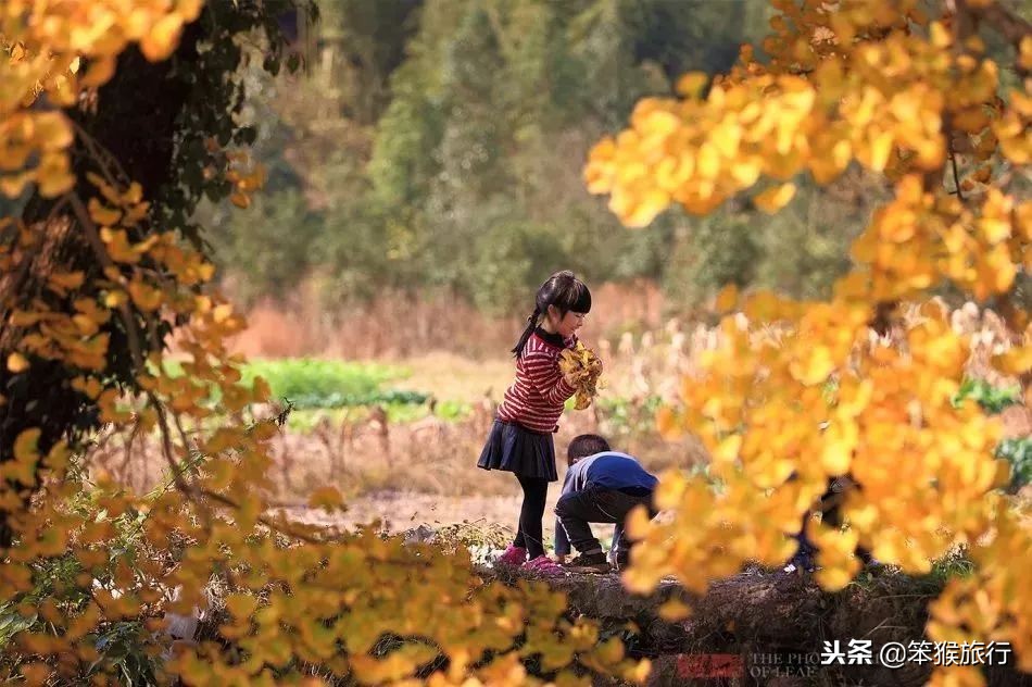 中国即将开通的超级高铁,中国最美高铁旅游线路排名