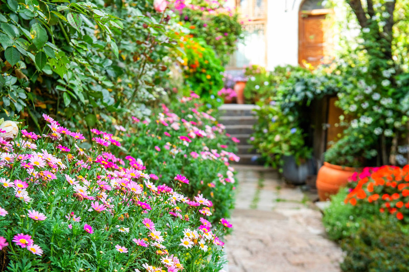 丽江旅游住哪个客栈比较好一点,丽江民宿客栈推荐便宜五天四晚