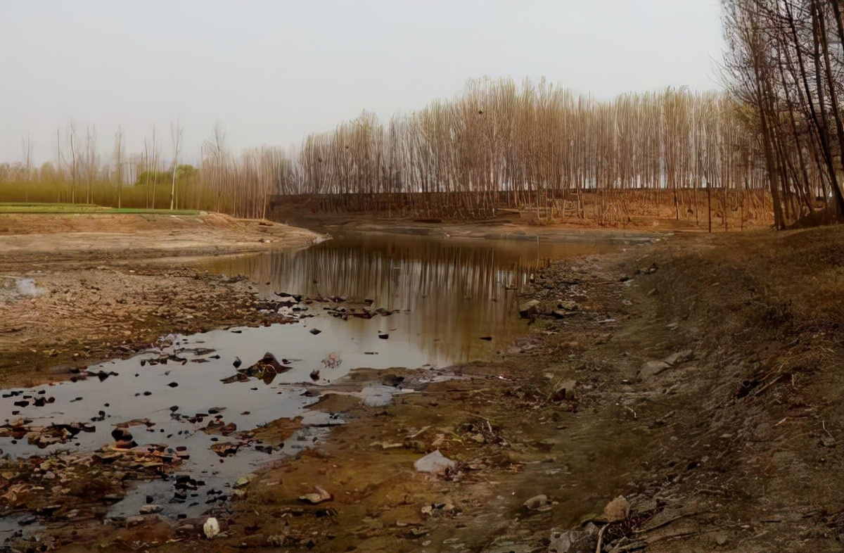 民国奇案妻子美貌丈夫贩毒,民国奇案女子杀夫案