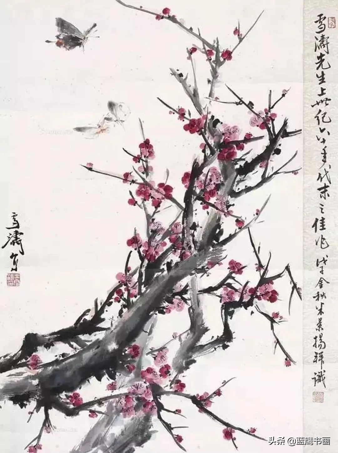 梅花代表着怎样的精神和品格,更欣赏梅花所蕴含的精神力量