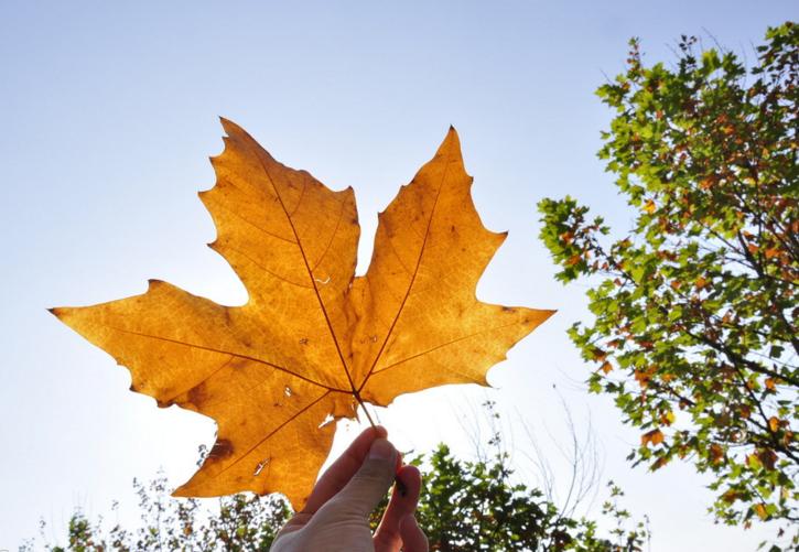 去加拿大读college要什么条件,去加拿大读college能拿绿卡吗