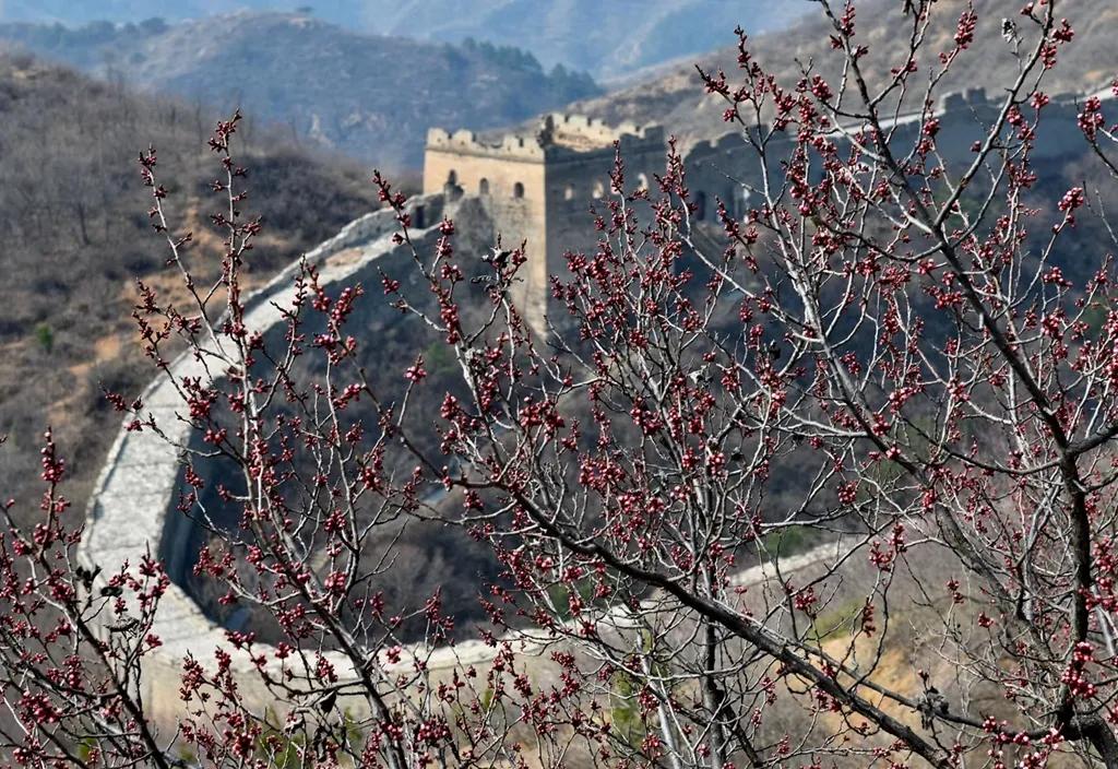 云游江山赏美景,云游花花世界欣赏杜鹃花