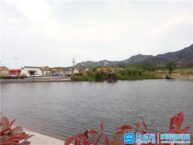 威海荣成：山壃薄地“转”出“金疙瘩”