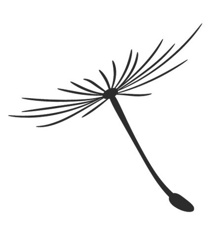 松溪县2020年诈骗案,松溪县诈骗案