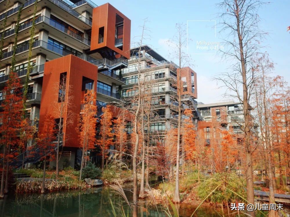 深圳带娃免费旅游推荐,深圳带娃出游景点攻略推荐