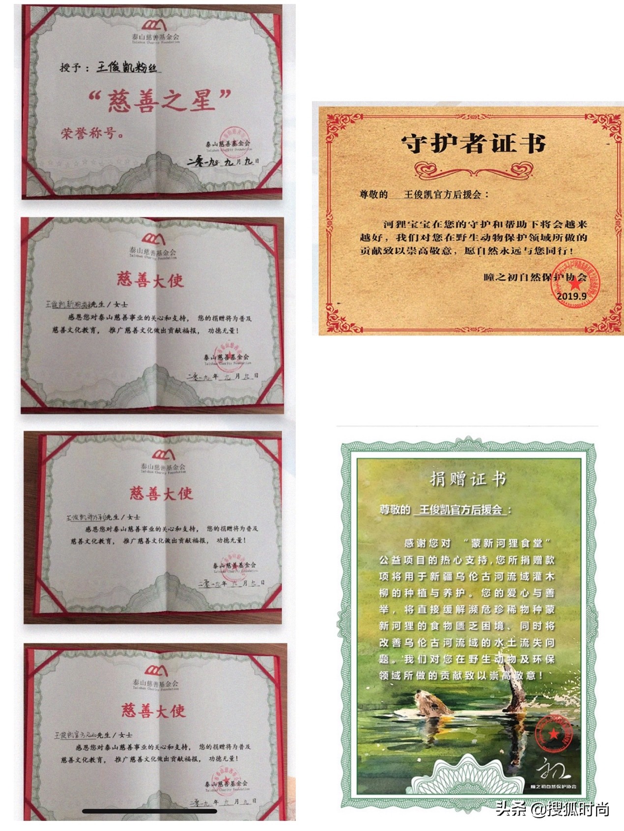 饭圈女孩们的真实写照,饭圈女孩真的好令人感动