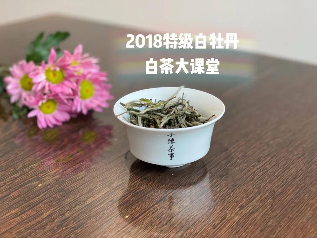 白茶是什么？咱们坐下来，好好聊一聊