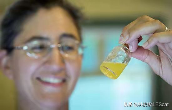 两条毒蛇互相咬会怎么样,两条毒蛇相互咬一口都会死吗