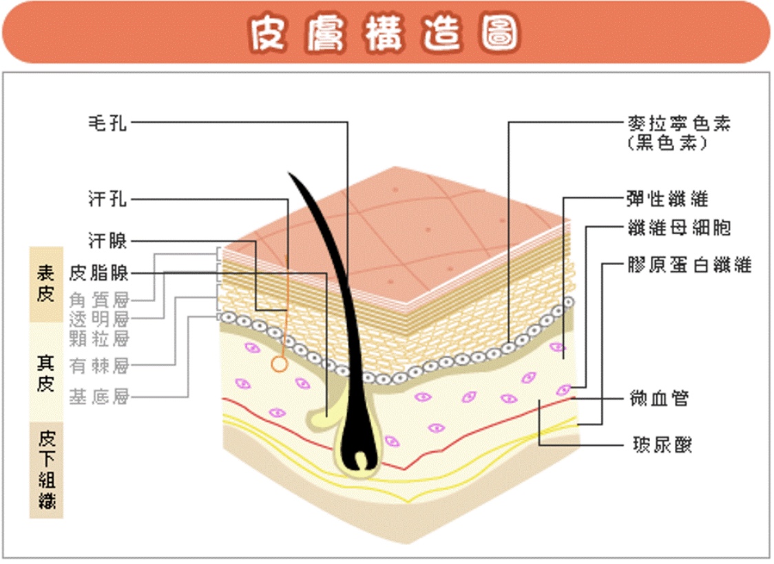 皮肤屏障受损就是敏感肌怎么护肤,屏障受损修复平价护肤产品有用吗
