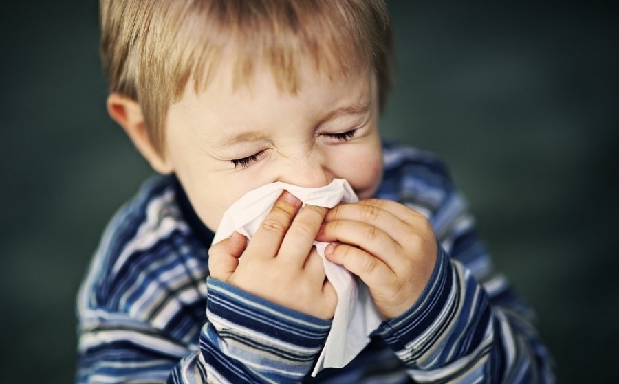 放一屋子绿植除甲醛有用吗,多放绿植可以除甲醛吗