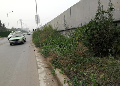 垃圾堆、破围挡、1米高的杂草、……郑州东站附近颜值亟待提升