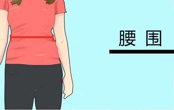 【体检项目解读】做体检时为什么要量身高体重、腰围、臀围？
