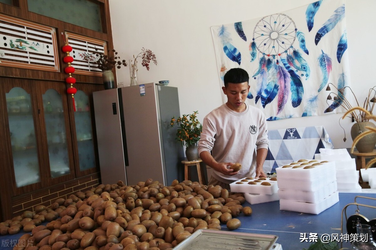 新电商法对农村电商的影响,农村电商发展及运营模式