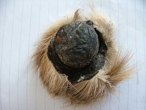 麝香酒米闻起来是什么味道,麝香闻着难闻