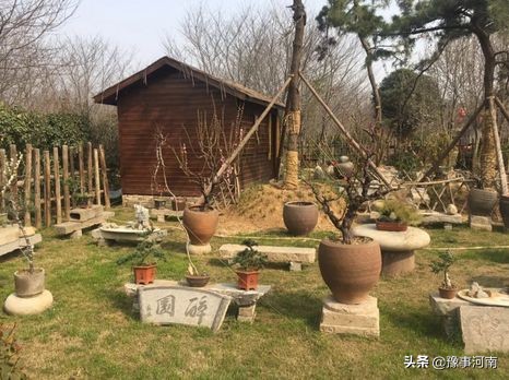 河南许昌樱花景点,许昌樱花最美的地方