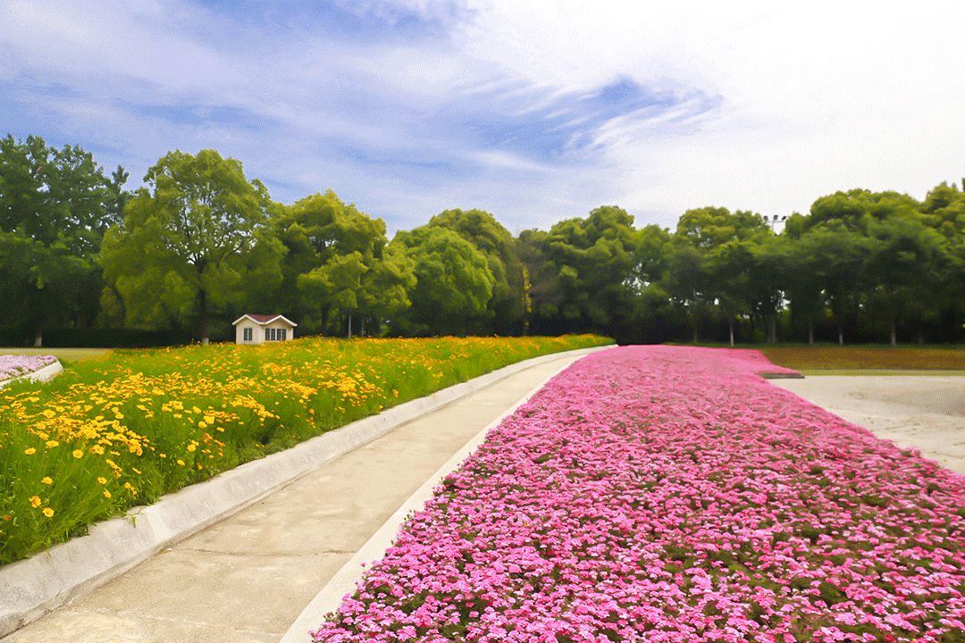 南京这些免费公园，让你任性玩个遍