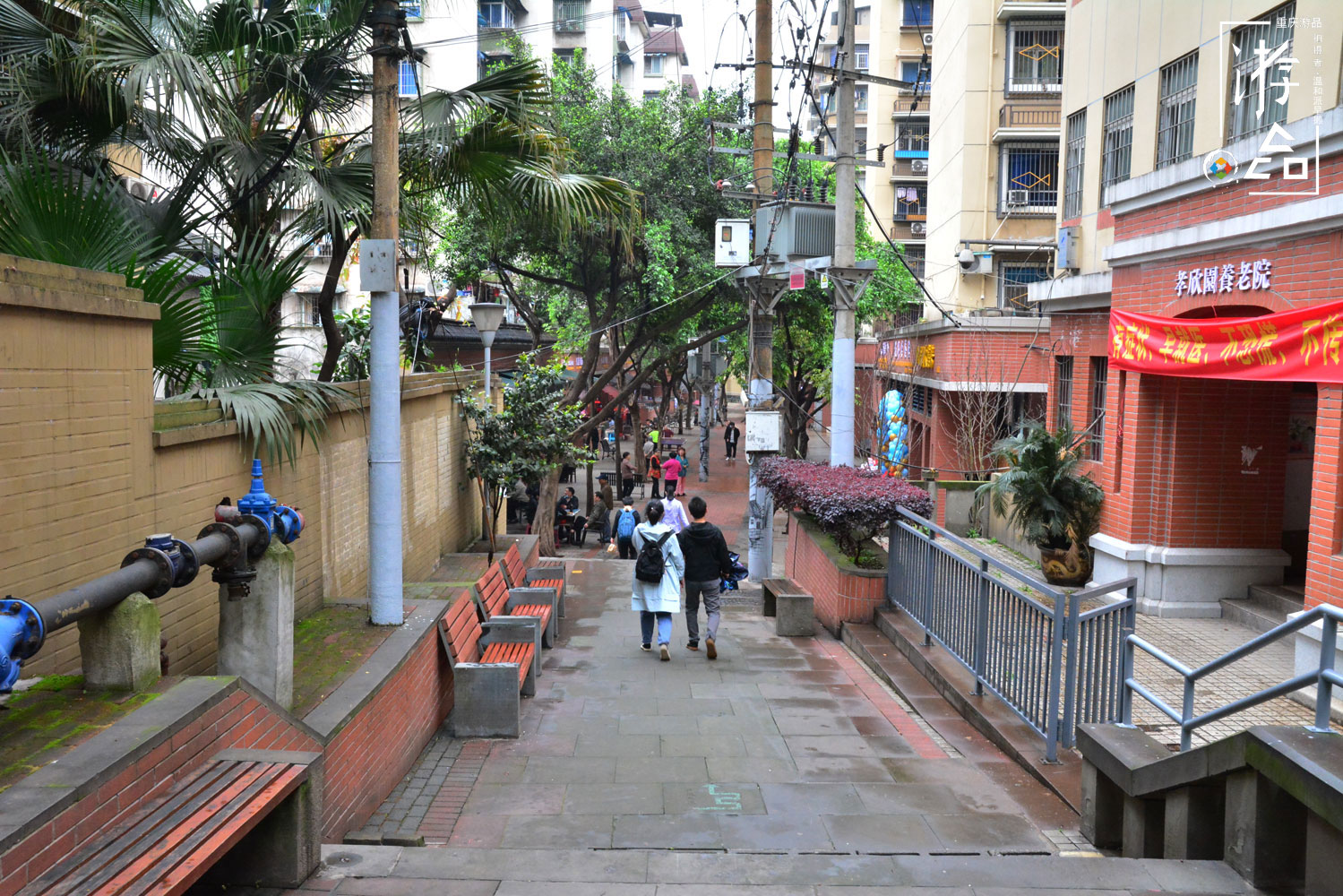 重庆张家花园山城步道,渝中区张家花园山城步道起止何处