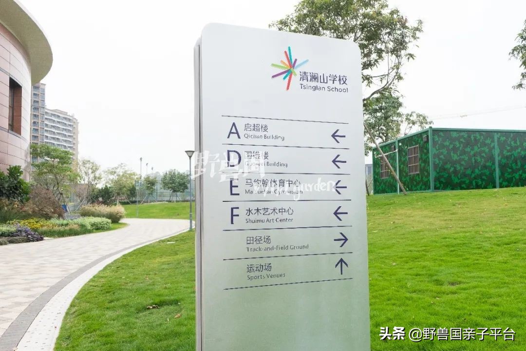 一年20万学费的清澜山学校,都在学些什么?