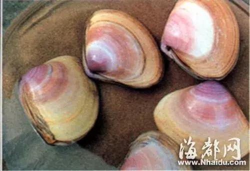 接下来3个月，福州人想吃这些海鲜要多花钱了！因为……