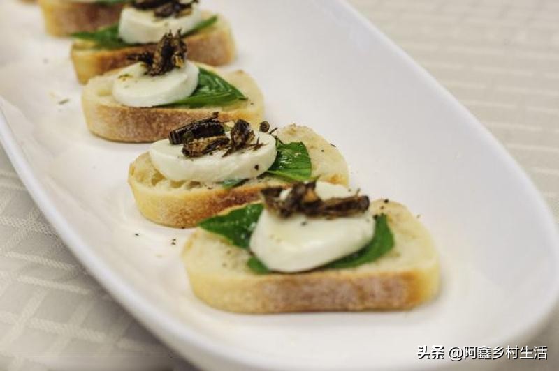 蟋蟀可以卖多少钱一只最便宜的,一个普通蟋蟀能卖多少钱