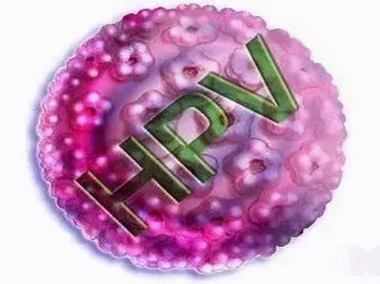 hpv16阳性是什么意思是怎么来的,hpv16阳性是什么意思男性